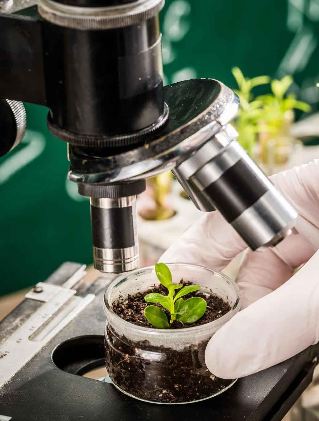 Crop Protection